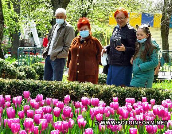 мільйони голландських тюльпанів, кропивницький, дендропарк, селфи, тюльпани, фото игоря филипенко,